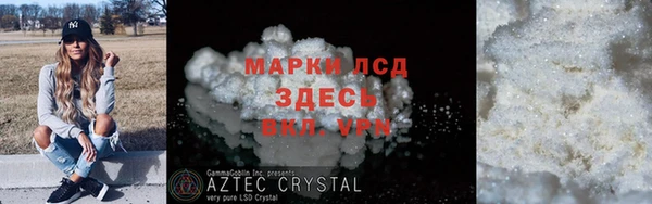 прущие грибы Волоколамск