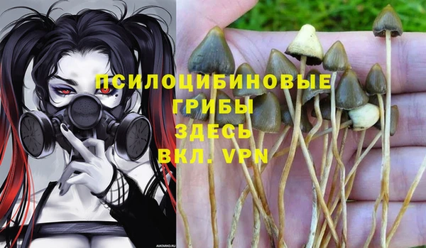 ALPHA-PVP Волосово