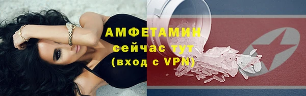 прущие грибы Волоколамск