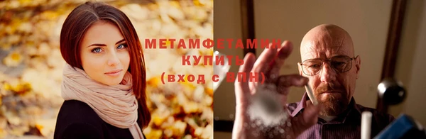 прущие грибы Волоколамск