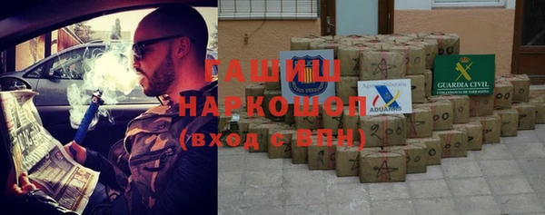 прущие грибы Волоколамск